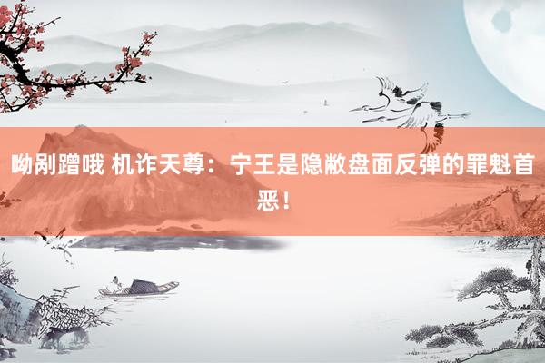 呦剐蹭哦 机诈天尊：宁王是隐敝盘面反弹的罪魁首恶！