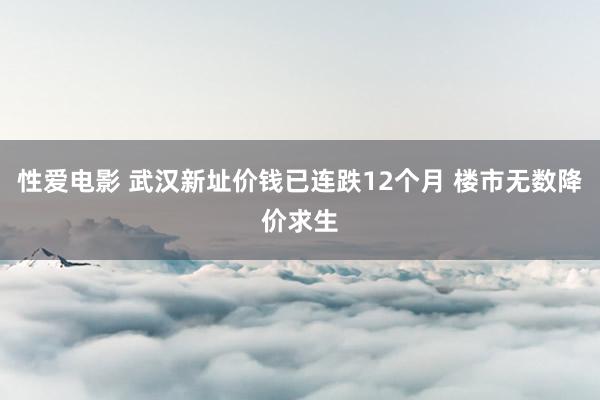 性爱电影 武汉新址价钱已连跌12个月 楼市无数降价求生