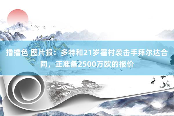 撸撸色 图片报：多特和21岁霍村袭击手拜尔达合同，正准备2500万欧的报价