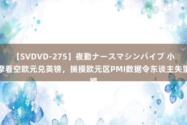 【SVDVD-275】夜勤ナースマシンバイブ 小摩看空欧元兑英镑，揣摸欧元区PMI数据令东谈主失望