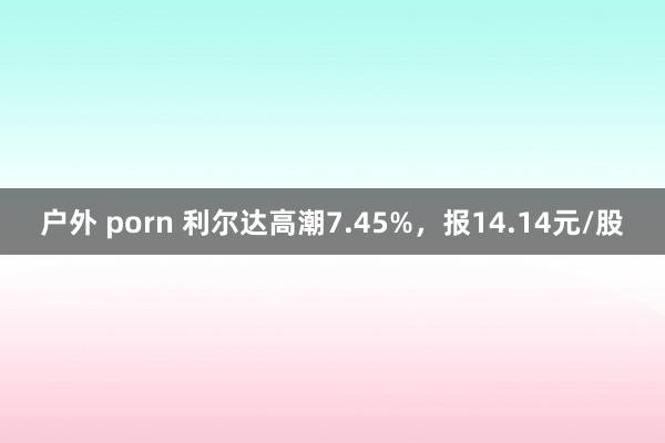 户外 porn 利尔达高潮7.45%，报14.14元/股