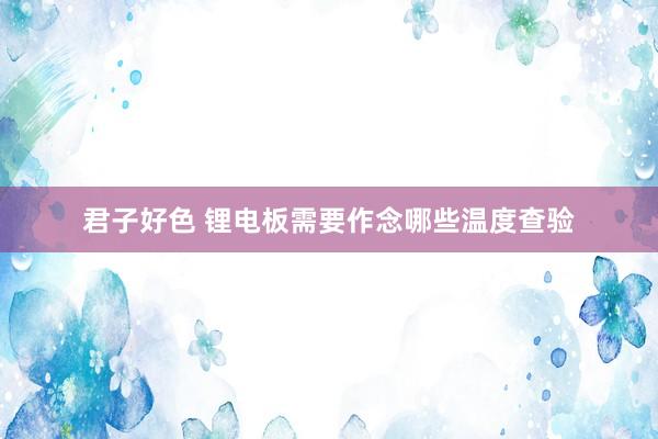 君子好色 锂电板需要作念哪些温度查验