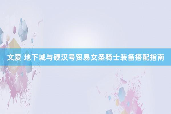 文爱 地下城与硬汉号贸易女圣骑士装备搭配指南