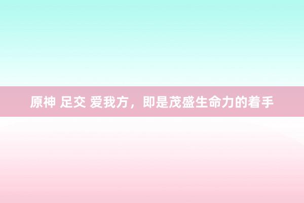 原神 足交 爱我方，即是茂盛生命力的着手