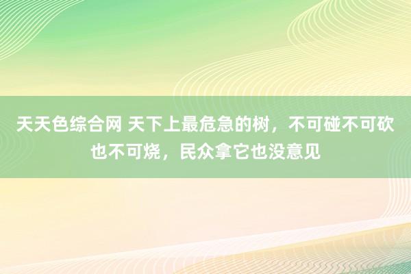 天天色综合网 天下上最危急的树，不可碰不可砍也不可烧，民众拿它也没意见