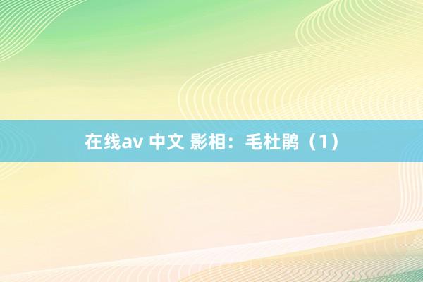 在线av 中文 影相：毛杜鹃（1）