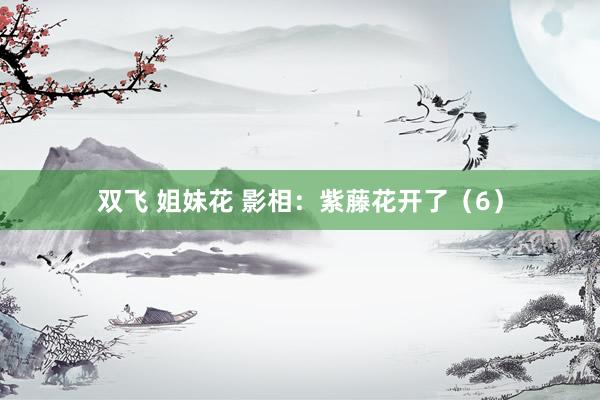 双飞 姐妹花 影相：紫藤花开了（6）