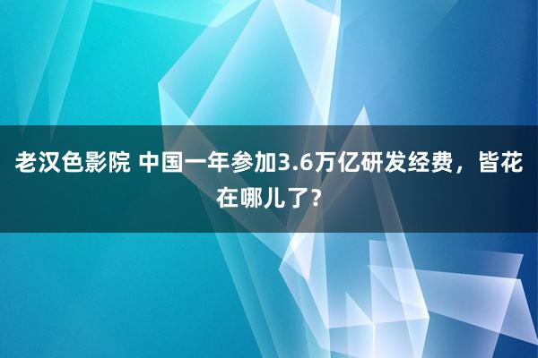 老汉色影院 中国一年参加3.6万亿研发经费，皆花在哪儿了？