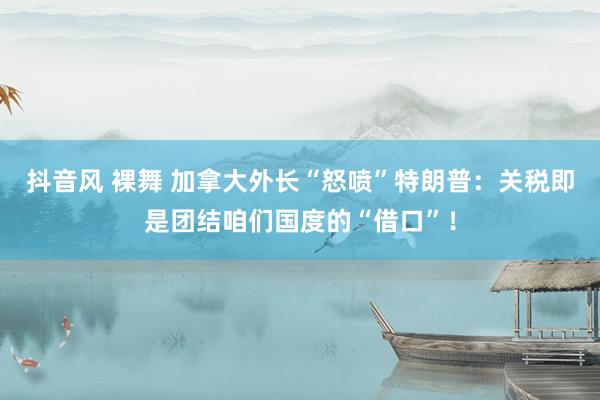 抖音风 裸舞 加拿大外长“怒喷”特朗普：关税即是团结咱们国度的“借口”！