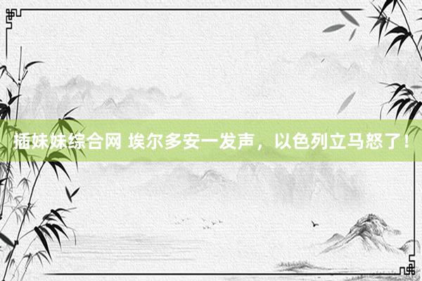 插妹妹综合网 埃尔多安一发声，以色列立马怒了！